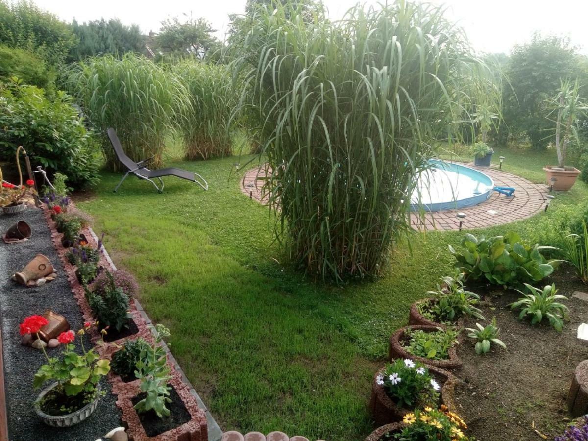 Ferienwohnung Blick Ins Land Goslar Exteriér fotografie